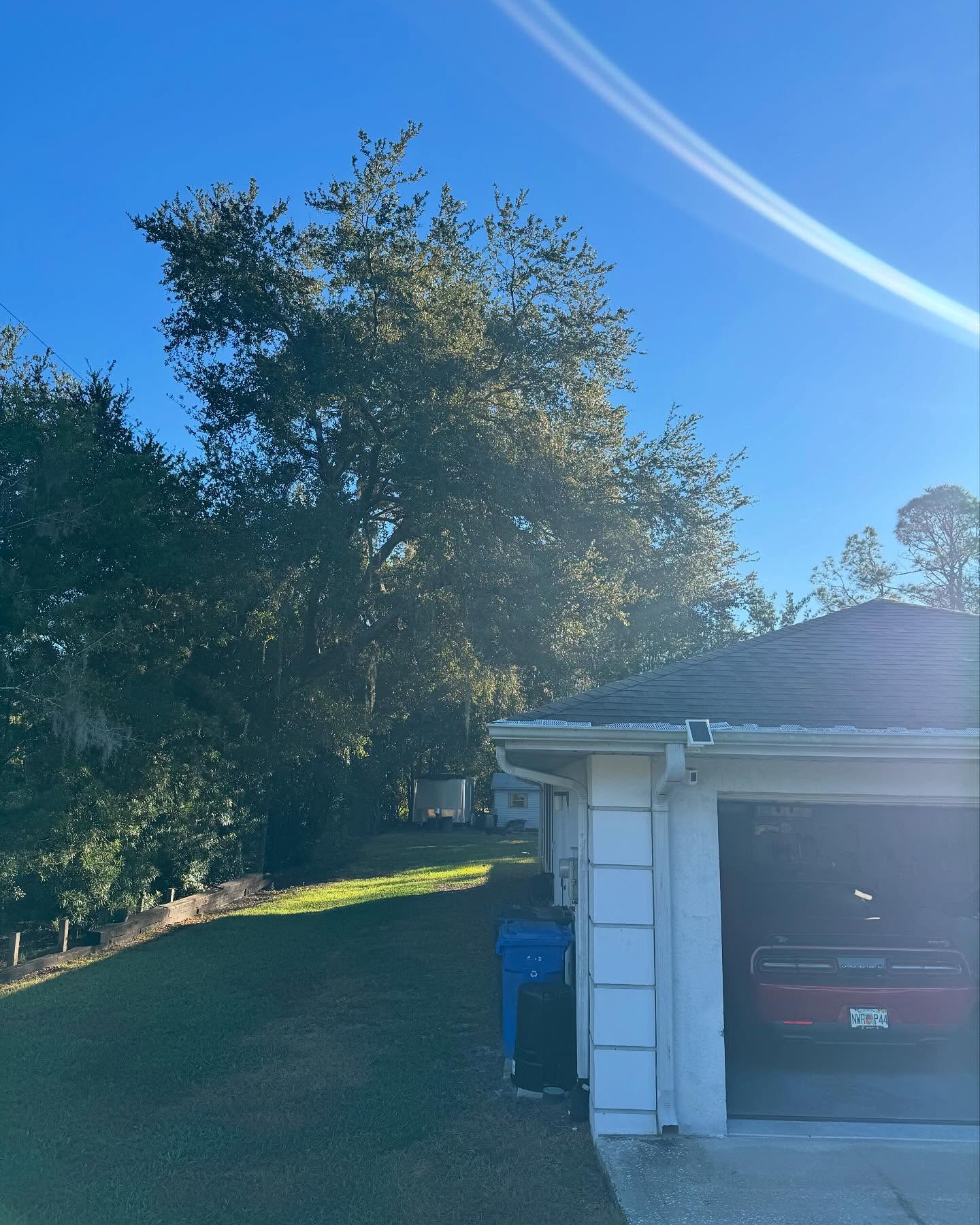 Stump grinding stage one before cleanup on a Land O' Lakes, FL property