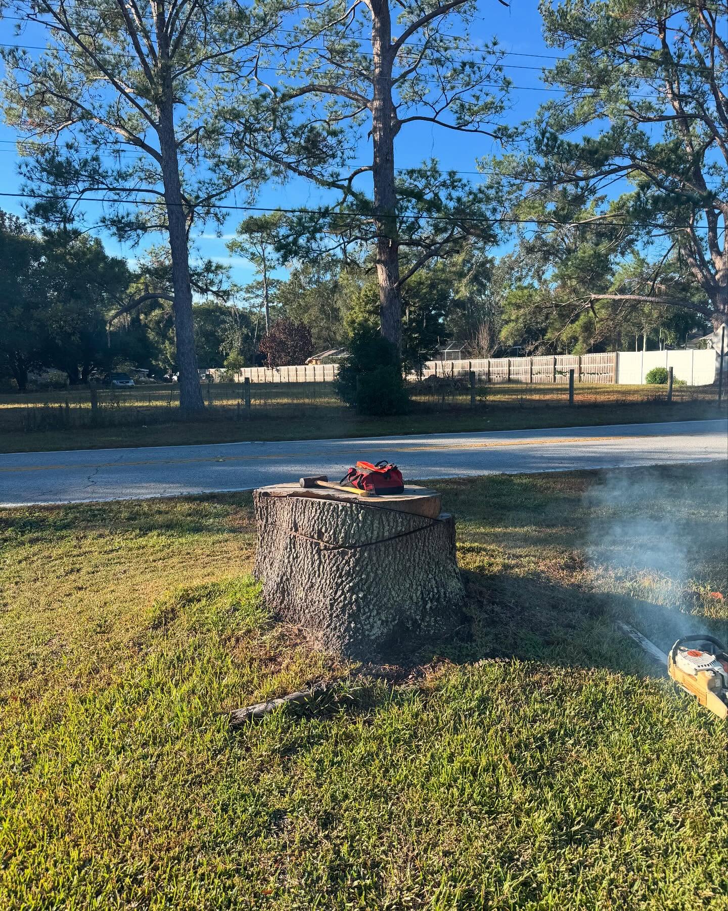 Stump grinding stage three after cleanup on a Land O' Lakes, FL property